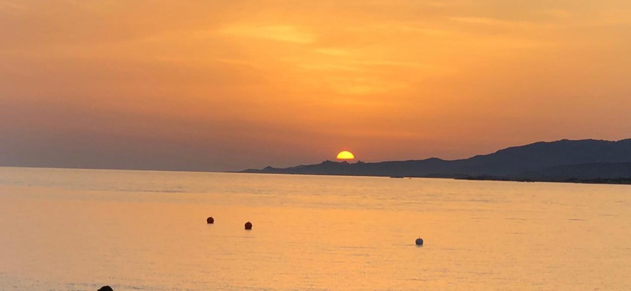 Chez Fred Et Marie Διαμέρισμα Figari  Εξωτερικό φωτογραφία