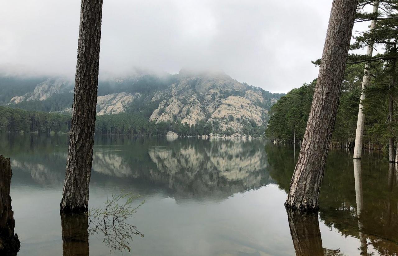 Chez Fred Et Marie Διαμέρισμα Figari  Εξωτερικό φωτογραφία