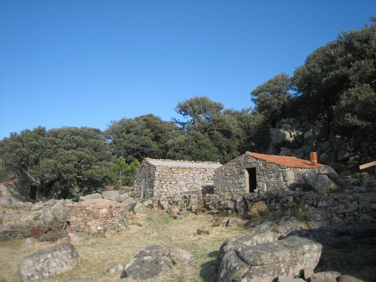 Chez Fred Et Marie Διαμέρισμα Figari  Εξωτερικό φωτογραφία